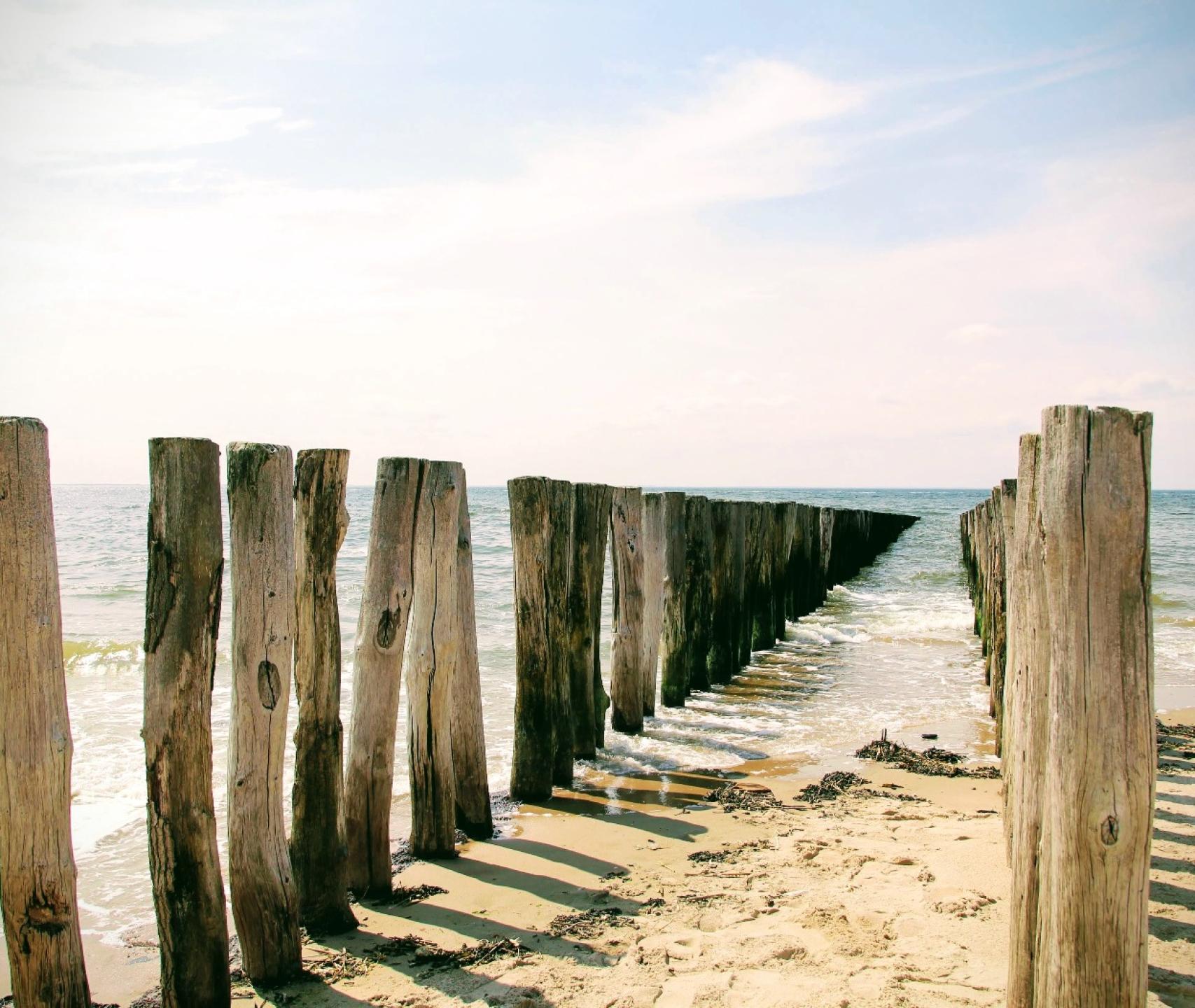 dyaa-eldin-moustafa-SyRClUOjkg-unsplash-1