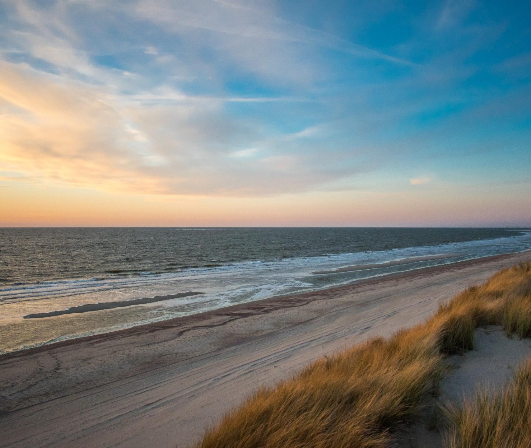 jan-willem-van-braak--B8QNAL5P0E-unsplash